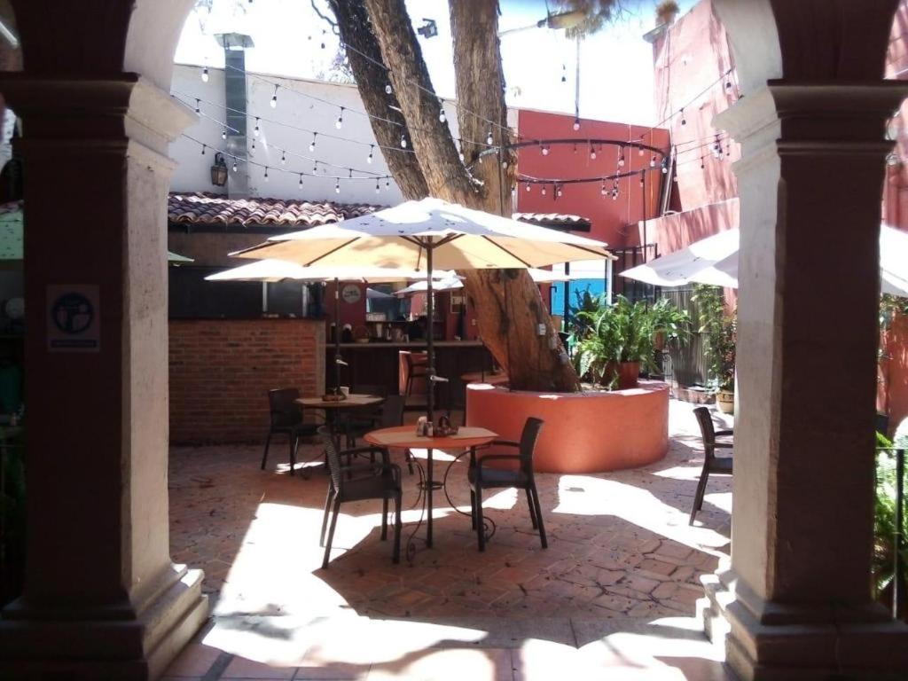 Hotel Ana Catalina And Suites San Miguel de Allende Exteriér fotografie