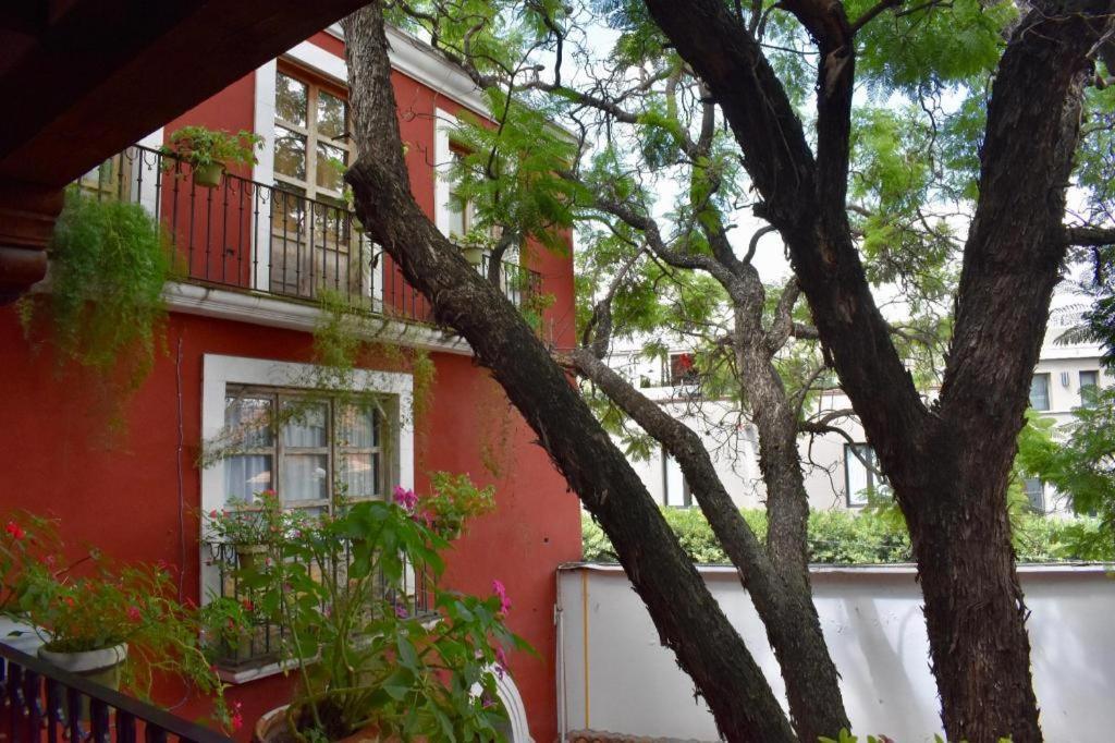 Hotel Ana Catalina And Suites San Miguel de Allende Exteriér fotografie
